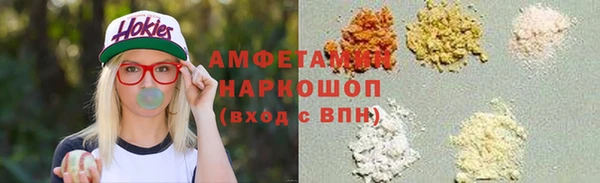 сатива Беломорск