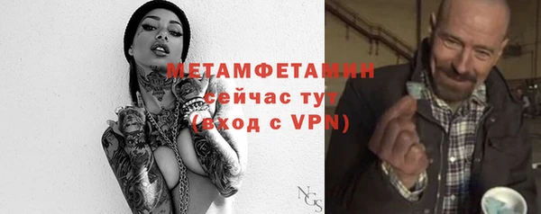 сатива Беломорск