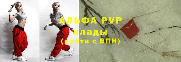 сатива Беломорск