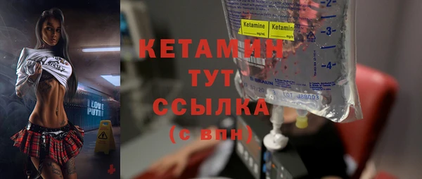 сатива Беломорск