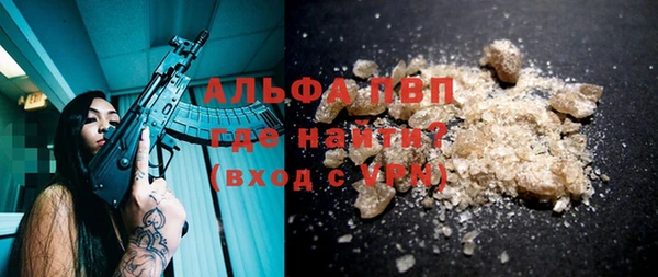 сатива Беломорск
