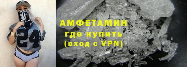 сатива Беломорск