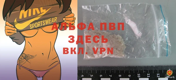 МДПВ Бородино